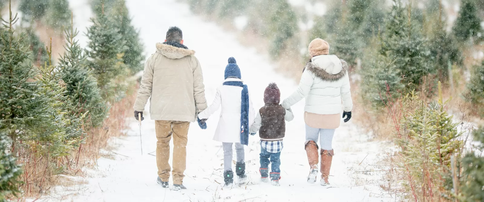 carousel slide number 1